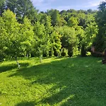 Hil Rakovica