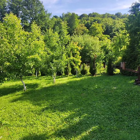 Hil Rakovica