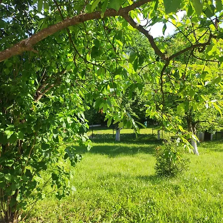 Hil Villa Rakovica