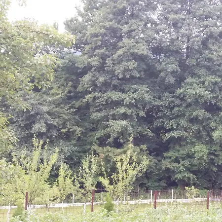 Villa Hil *